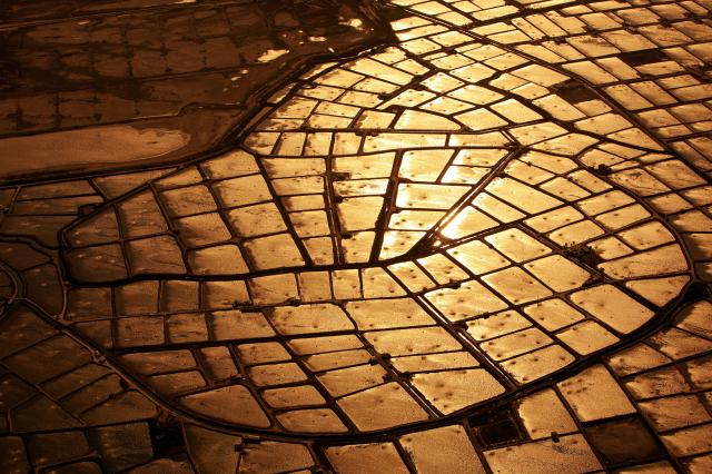 看見台灣劇照 5