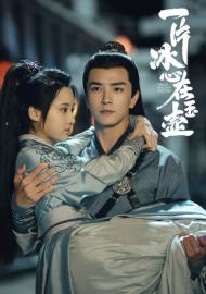 一片冰心在玉壺