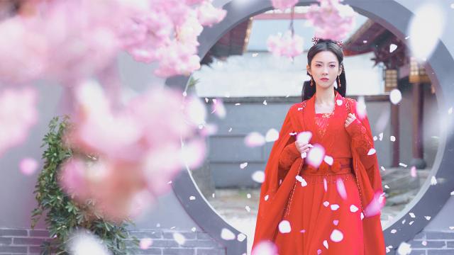 雙面贅婿 第一季