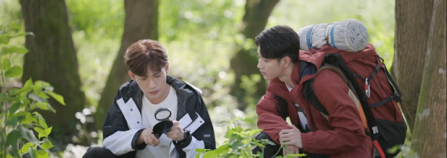 兩個人的小森林 線上看