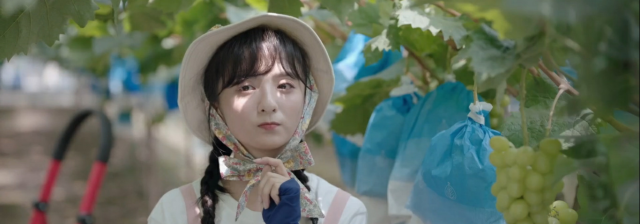 兩個人的小森林 線上看