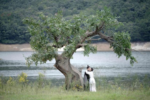 古相思曲 線上看