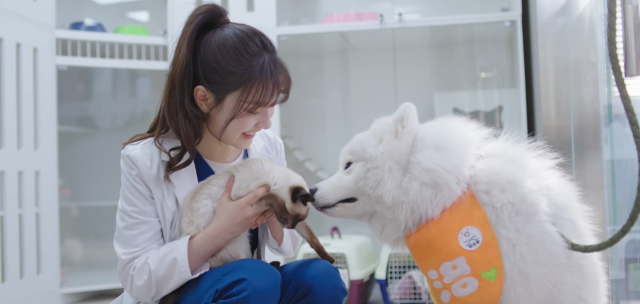 甜蜜的你 線上看