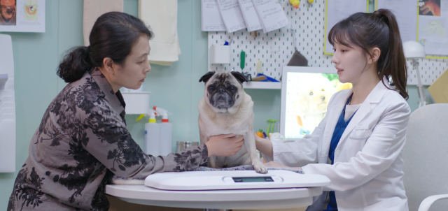 甜蜜的你 線上看