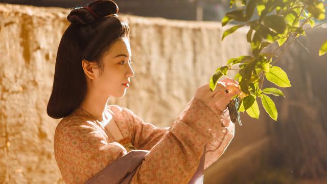 長安的荔枝劇照 2