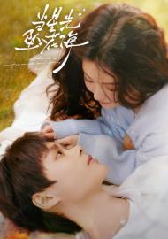 當星光墬入花海