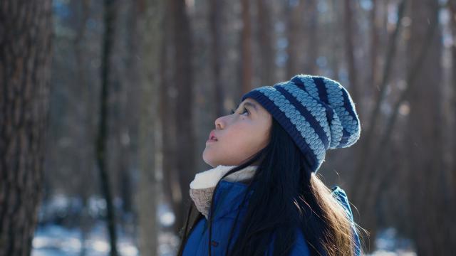 邪惡根本不存在劇照 5