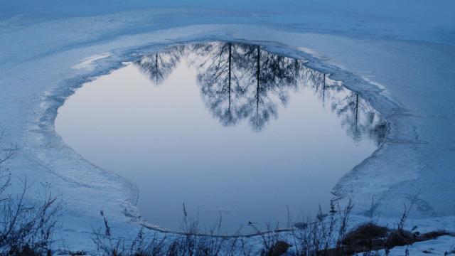 邪惡根本不存在劇照 9
