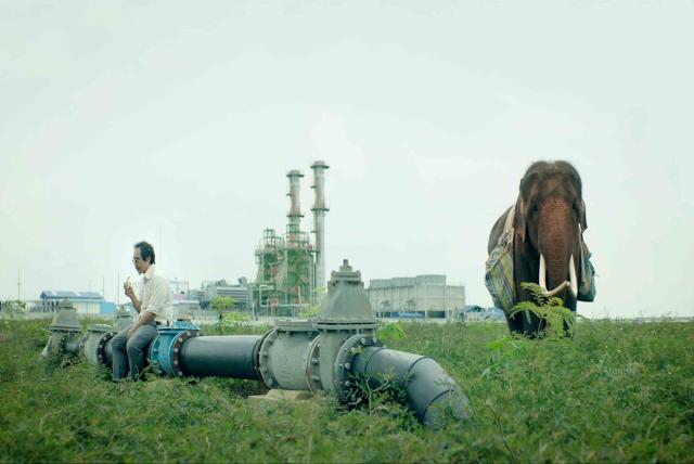 親愛的大笨象劇照 5