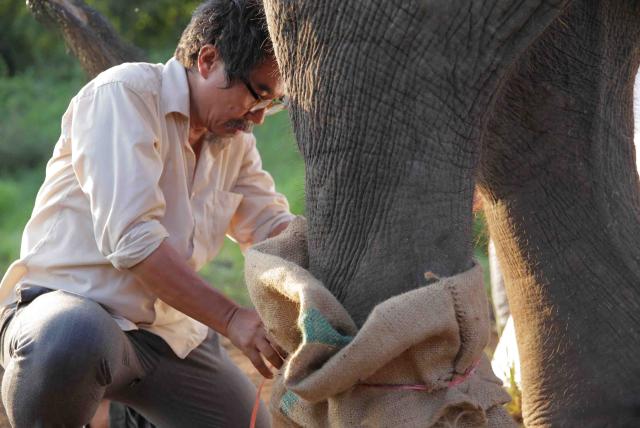 親愛的大笨象劇照 2