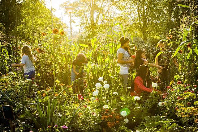 孩子們的菜園農場劇照 10