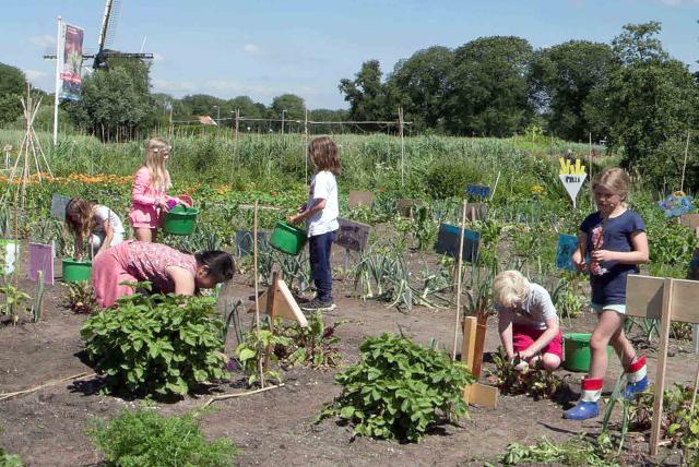 孩子們的菜園農場劇照 3