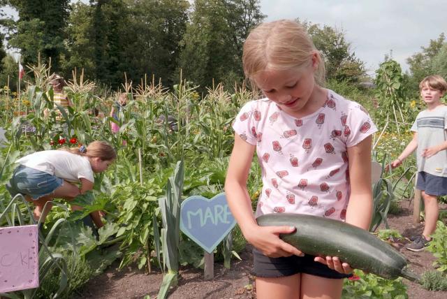 孩子們的菜園農場劇照 4