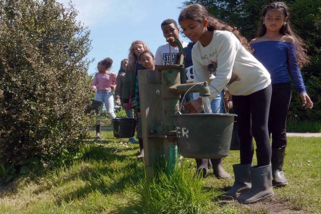 孩子們的菜園農場劇照 7