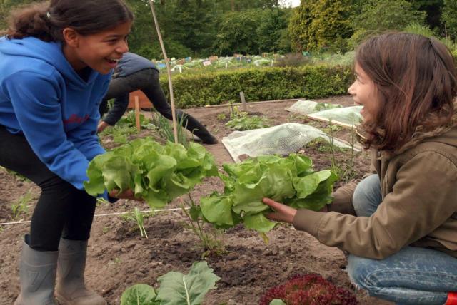 孩子們的菜園農場劇照 8