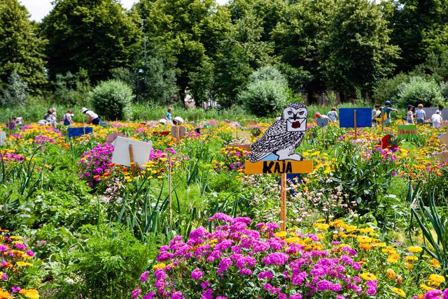 孩子們的菜園農場劇照 5