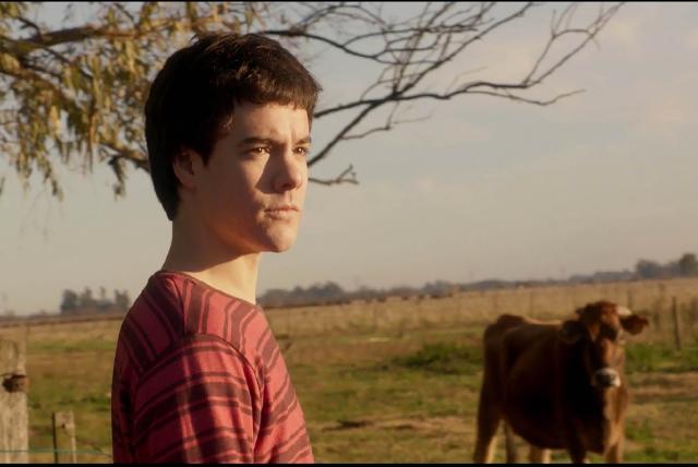 慾殺教師劇照 3