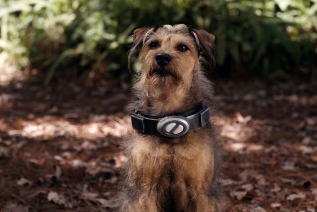 外星汪汪隊劇照 6