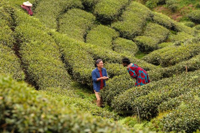 以愛之茗劇照 3