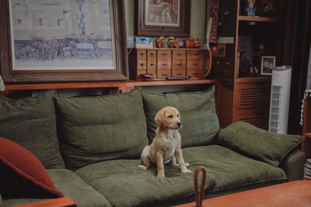 再見，李可樂預告片 01