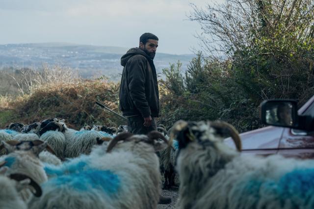 羊人的謎宮劇照 3