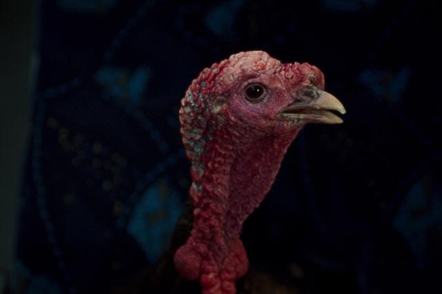 大同世界劇照 6