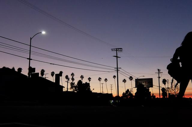 夜晚還年輕劇照 6