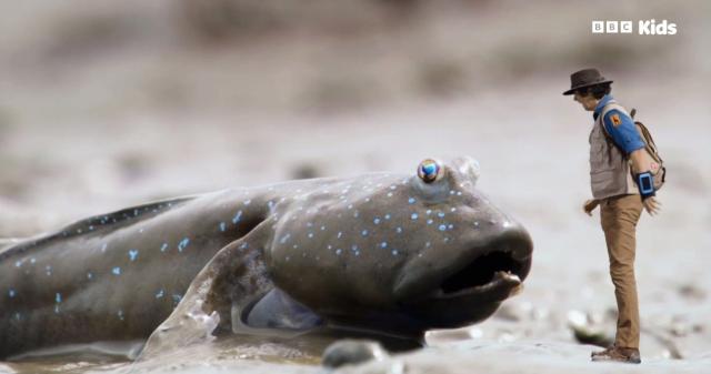 安迪的水上冒險旅程 第一季 線上看