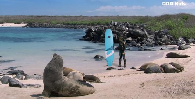 安迪的水上冒險旅程 第一季 線上看