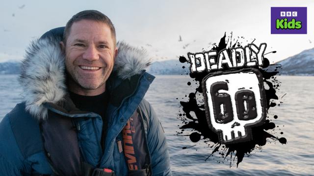 全球動物冒險王 第四季