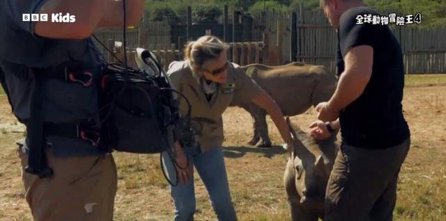 全球動物冒險王 第四季 線上看