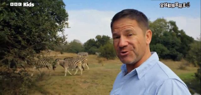 全球動物冒險王 第四季 線上看