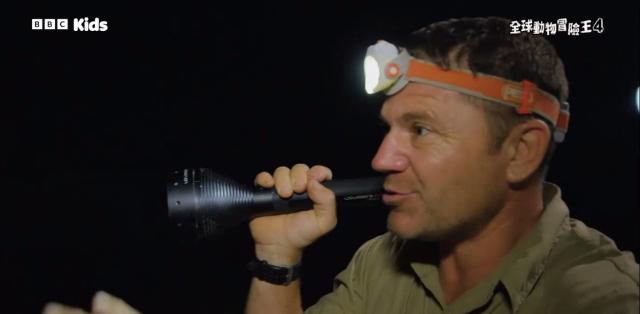 全球動物冒險王 第四季 線上看