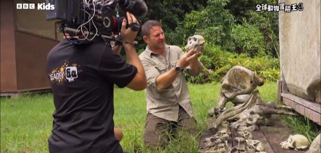 全球動物冒險王 第四季 線上看
