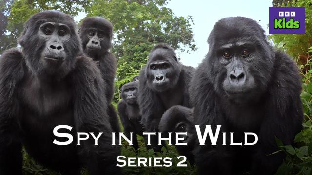 動物秘密一籮筐 第二季