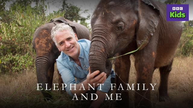 大象這一家 線上看