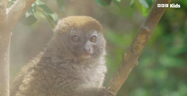 安迪的水上冒險旅程 第一季 線上看