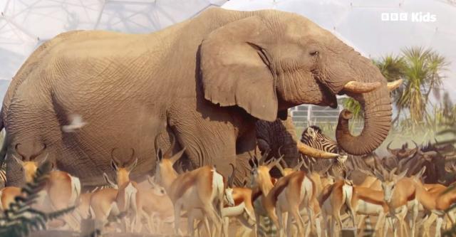 安迪的水上冒險旅程 第一季 線上看