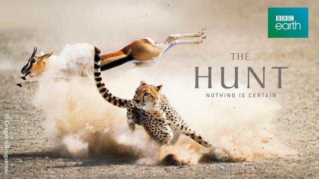 掠食獵戰 第一季