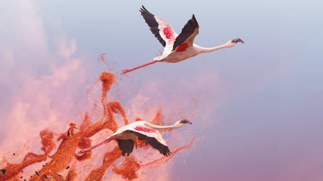 完美星球 第一季 線上看