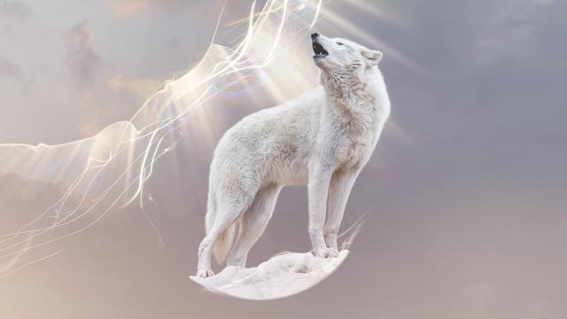 完美星球 第一季 線上看