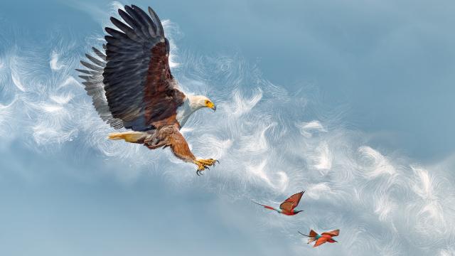 完美星球 第一季 線上看