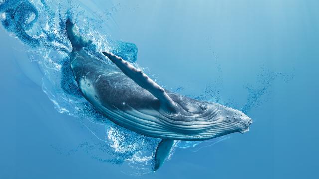 完美星球 第一季 線上看