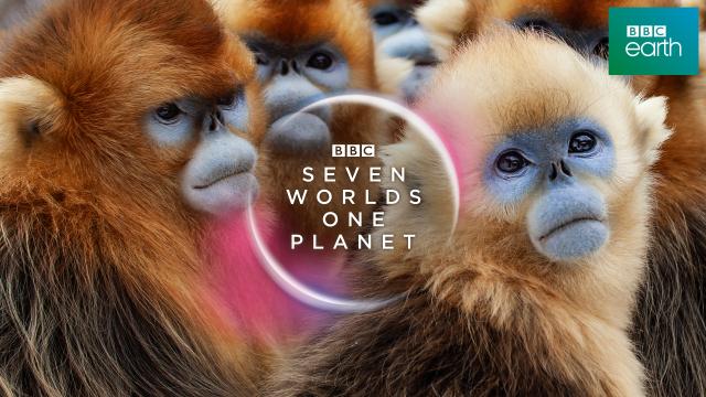 七個世界，一個星球 第一季