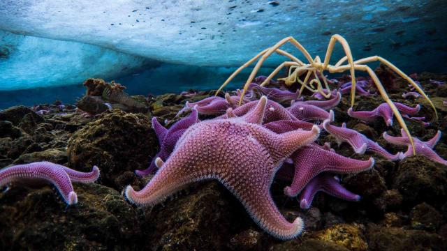 七個世界，一個星球 第一季 線上看