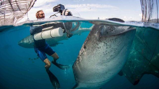 七個世界，一個星球 第一季 線上看