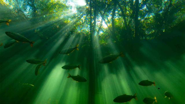 七個世界，一個星球 第一季 線上看