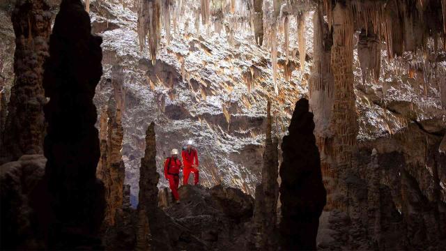 七個世界，一個星球 第一季 線上看