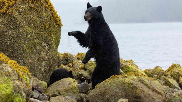 七個世界，一個星球 第一季 線上看