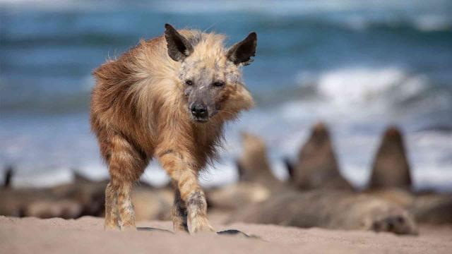 七個世界，一個星球 第一季 線上看